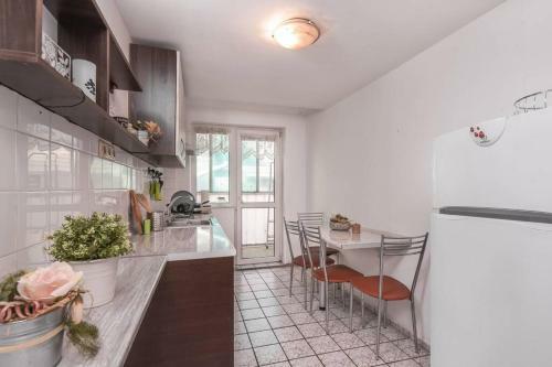 Spacious And Cozy 3 Br Apartment In Downtown Sofia