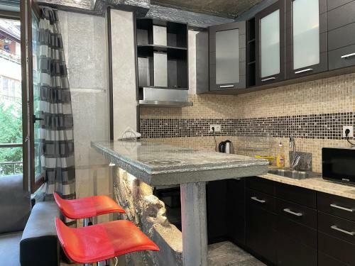 Stenmary Apartment Vitosha
