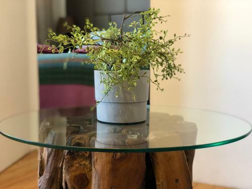 Ekaterina's City Center Gallery Apartment