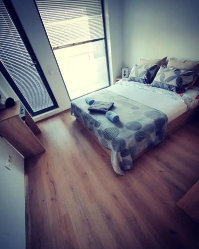 Apartment Idea 2