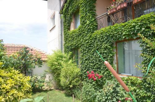 Hostal Guest House Amazonia