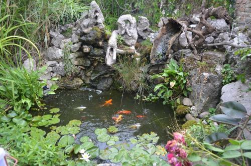 Hostal Guest House Amazonia