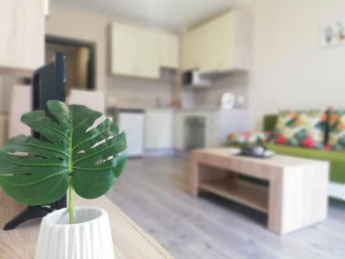 Apartments Ilarion In City Center