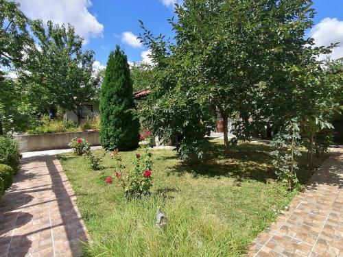 'zhana Del Mar' Villa - ???? "???? ??? ???"