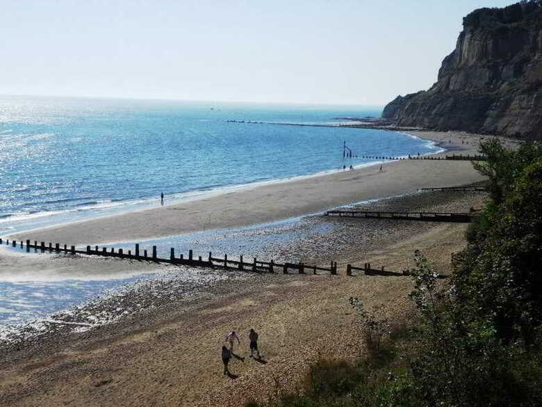 Luccombe Manor Country House Hotel