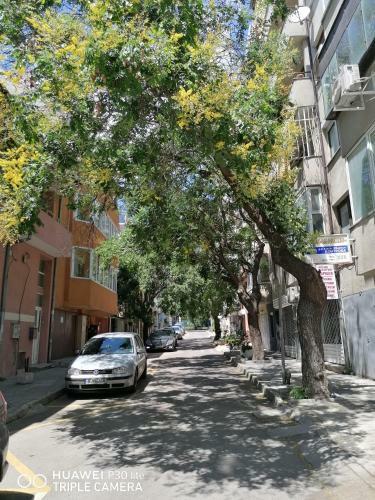 Apartamento Comfort Getaway Studio