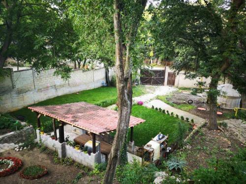 Hostal ???? ?? ????? Satori Bor, ?????