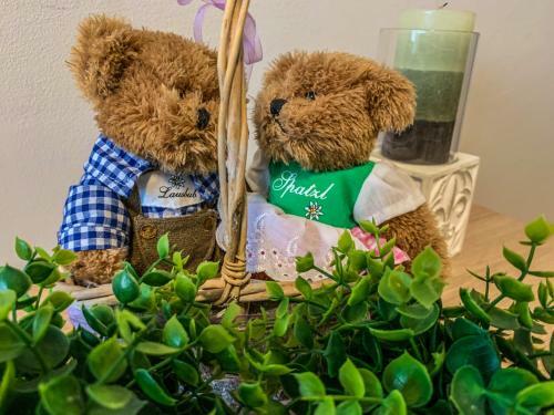 Apartamento Happy Bears Place