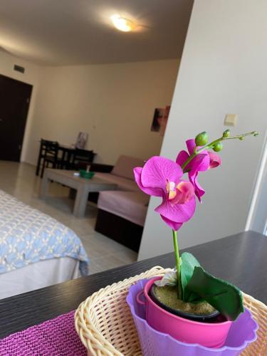 Sunny Beach Apartment For 2 +2