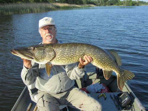 Bed & Breakfast Kortenhoefsedijk