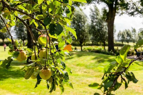 Pipowagens 'ot' En 'sien'