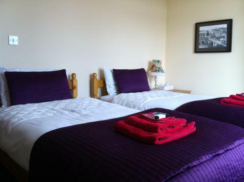 Bed & Breakfast The Horseshoe
