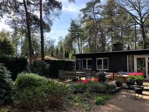Bosbungalow Ruighenrode