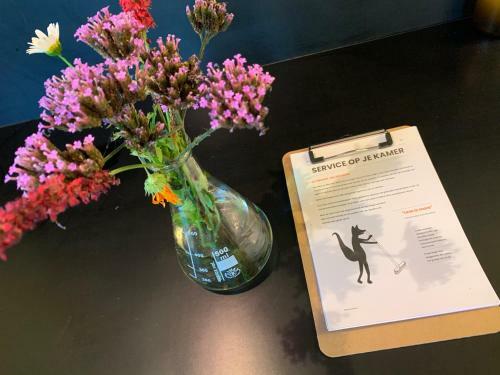 Bed & Breakfast Het Lage Noorden