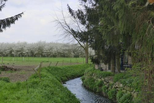 Apartamento Meschermolen 14