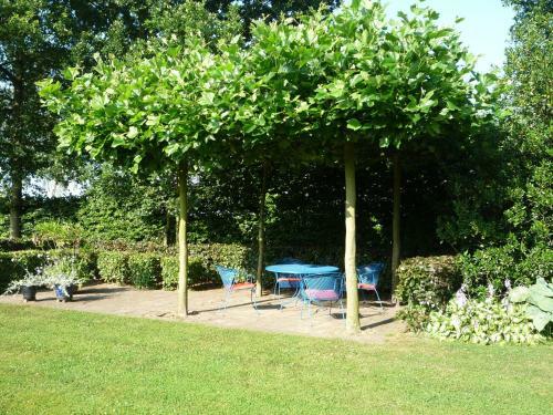 Bed & Breakfast Beukenhof