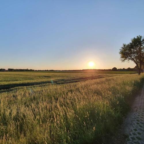 Bed & Breakfast de Vliegende Vlinder