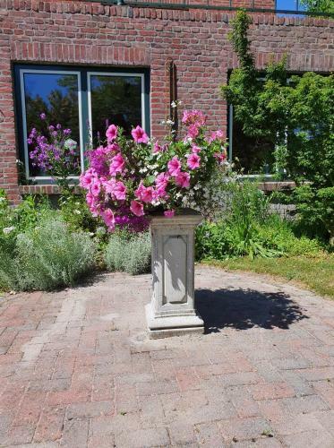Bed & Breakfast de Vliegende Vlinder