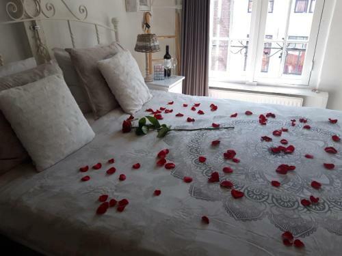Bed & Breakfast de Slapende Leeuw