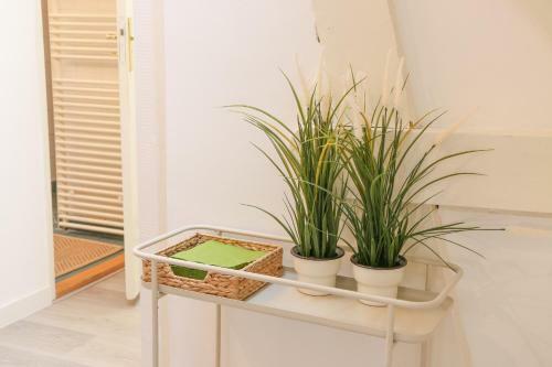 Stylish City Apartments Middelburg