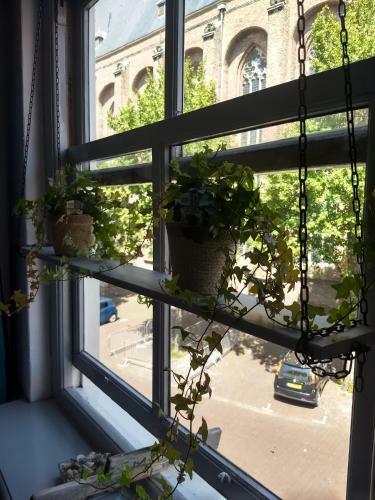 Bed & Breakfast De Kaepstander