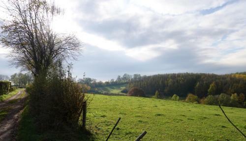 Luxe B&B Vroelen-noorbeek