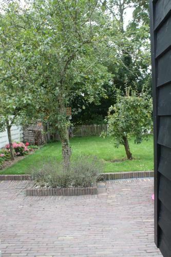 Dreamingzeeland