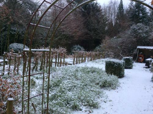 Bed & Breakfast Villa Laurelin, Lothorien