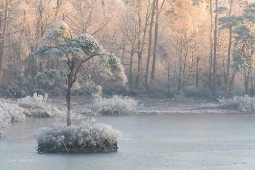 Natuurhuisje Oisterwijk