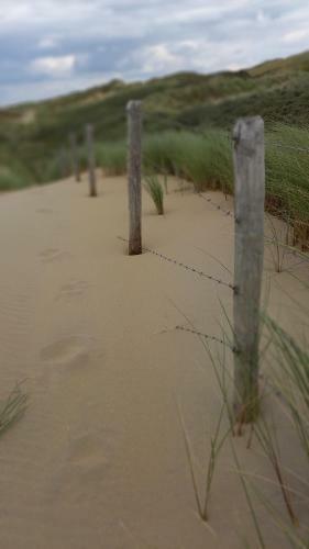 Het Zeepaartje, Strand & Duinen
