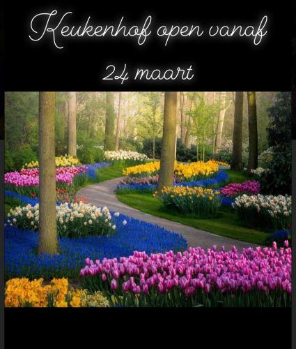 Apartamento Sous Aan Zee
