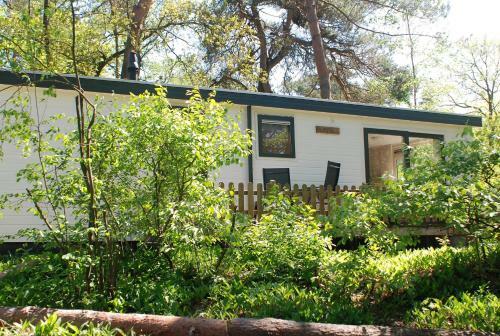 Lodge Merel Nunspeet Veluwe