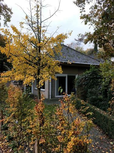 Bungalow 6 Personen