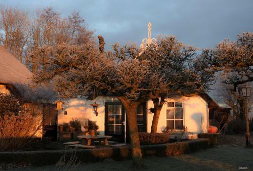 Bed & Breakfast The Wee White Hoose