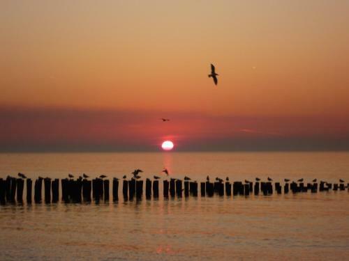 Vakantie Bungalow Dichtij Strand En Bos Ok13