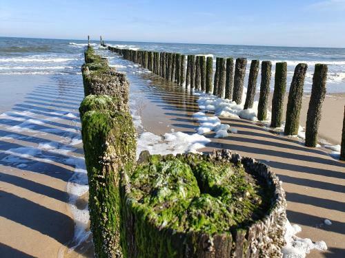 Apartamento Studio Aan Zee Oostkapelle