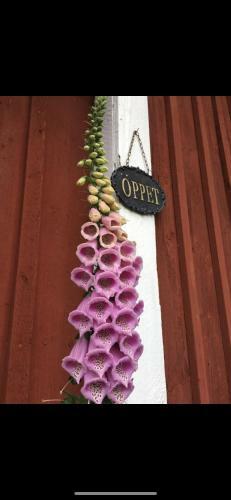 Bed & Breakfast Lavendeltorpet