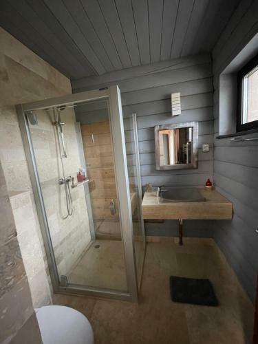 Villa Vila Costin Fundata