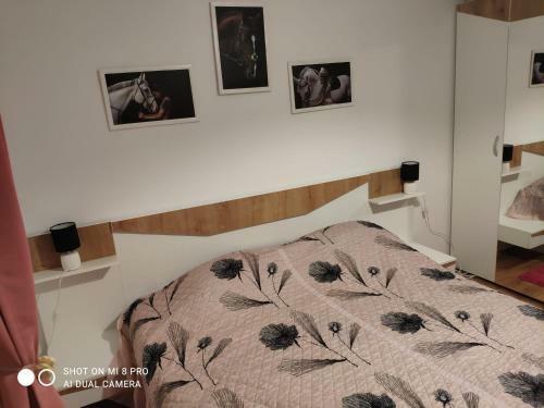 A&e Apartament Home10