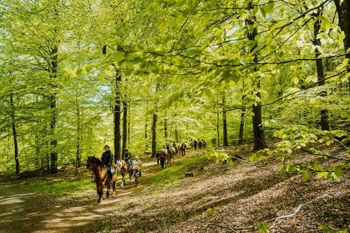Lill Hagahus, S�der�sens Nationalpark