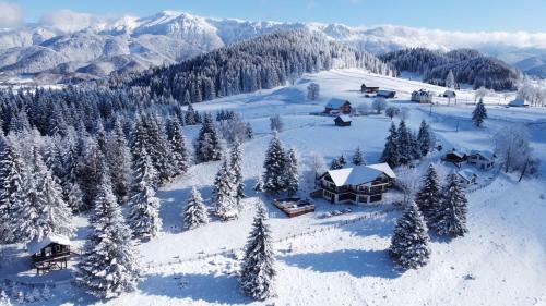 Bed & Breakfast La Vulturi