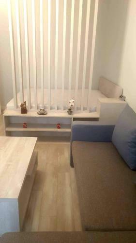 Apartament de Lux Cu Gradina