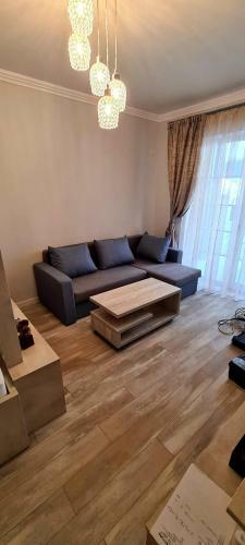 Apartament de Lux Cu Gradina