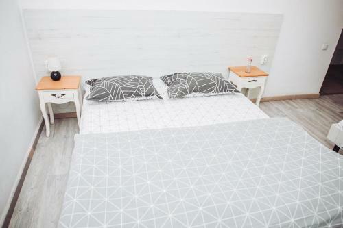 Hostal Camera Matrimoniala Cu Acces Ciubar Relax