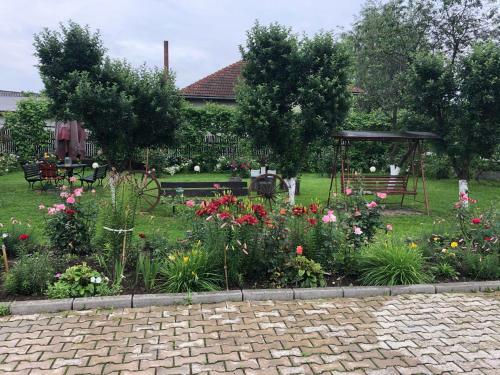 Hostal Pensiunea Elis