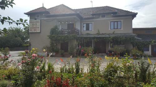 Hostal Pensiunea Elis