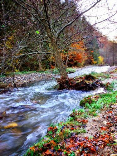 Lodge Casuta Din Valea Regilor