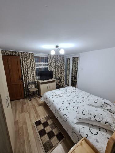 Hostal Casa Toader