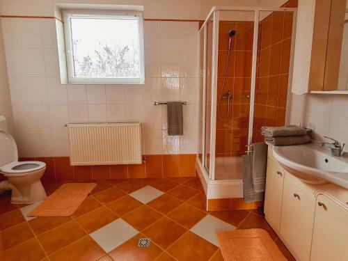 Villa Vila Sanne Bra?ov H?lchiu