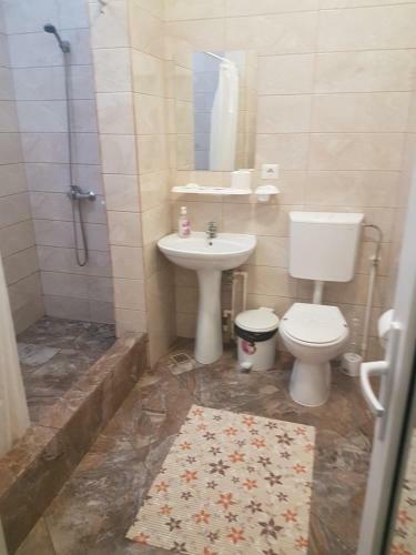 Hostal Casa Stefan Galati